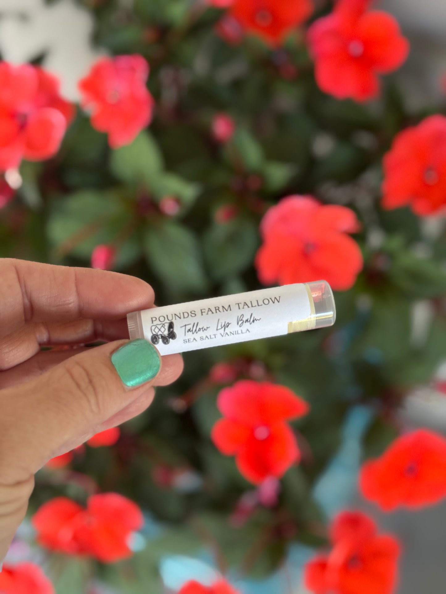 Sea Salt + Vanilla Lip Balm