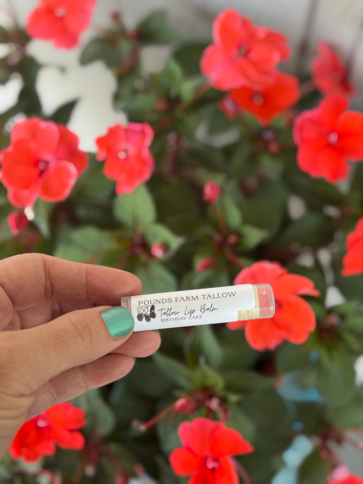 Birthday Cake Lip Balm