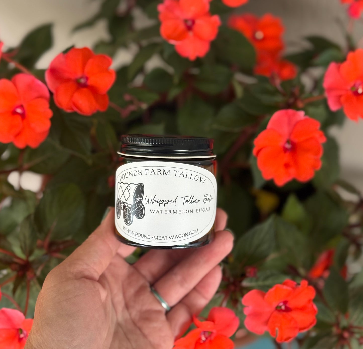 Watermelon Sugar Whipped Tallow