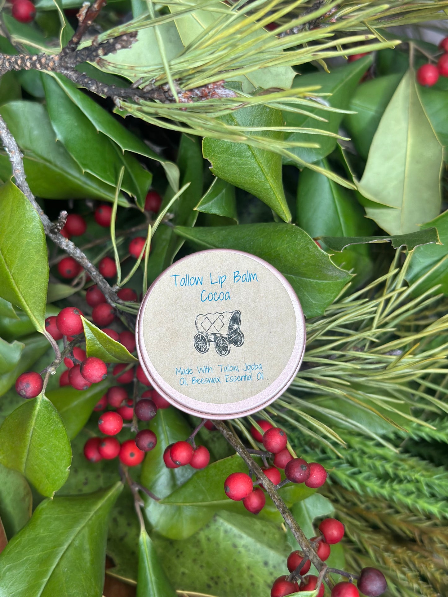 Cocoa Tallow Lip Balm Tin