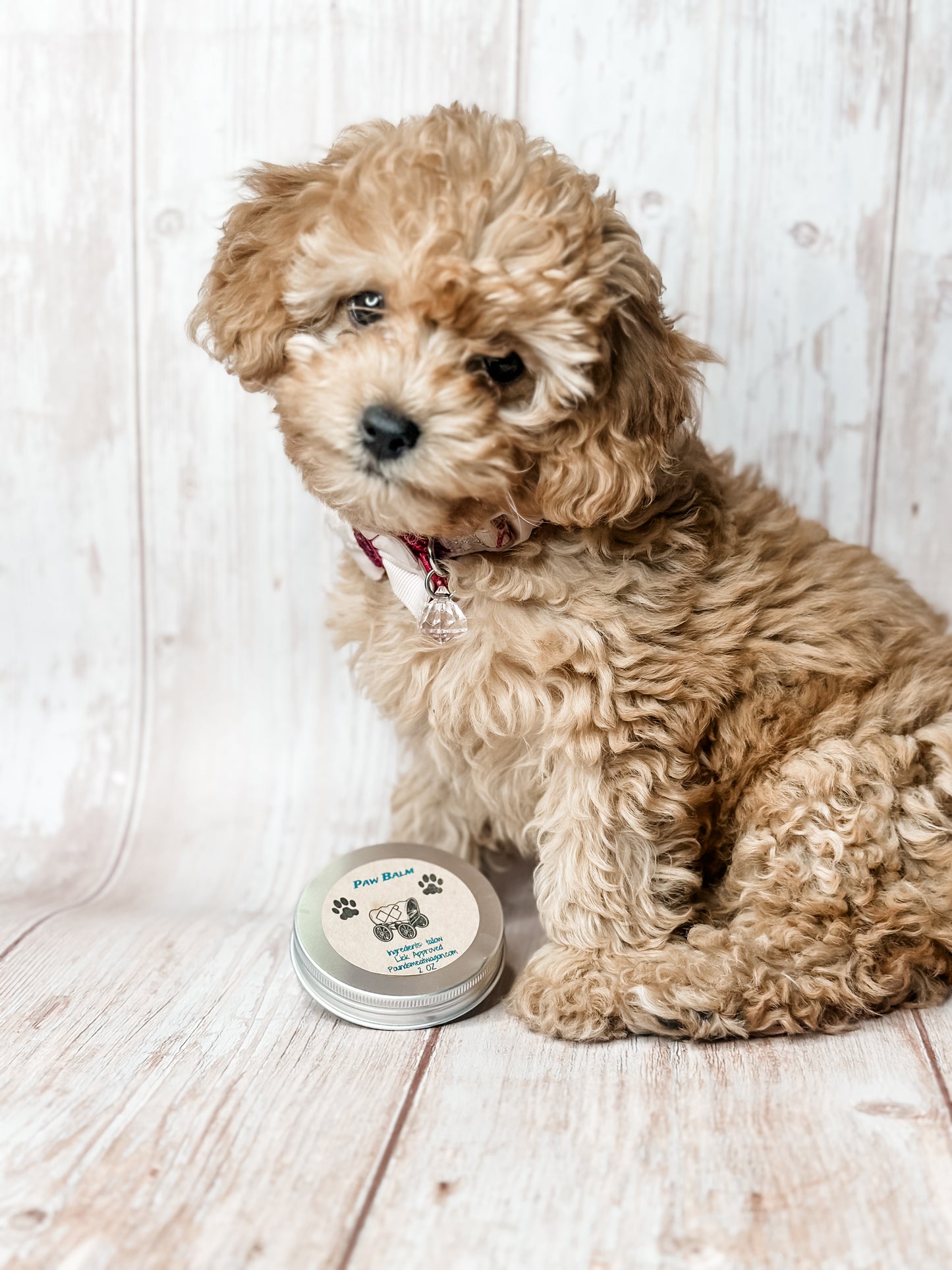 🐾 Paw Balm 🐾 (Tallow Balm for Dogs)