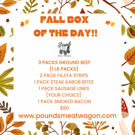 Fall Box Of The Day